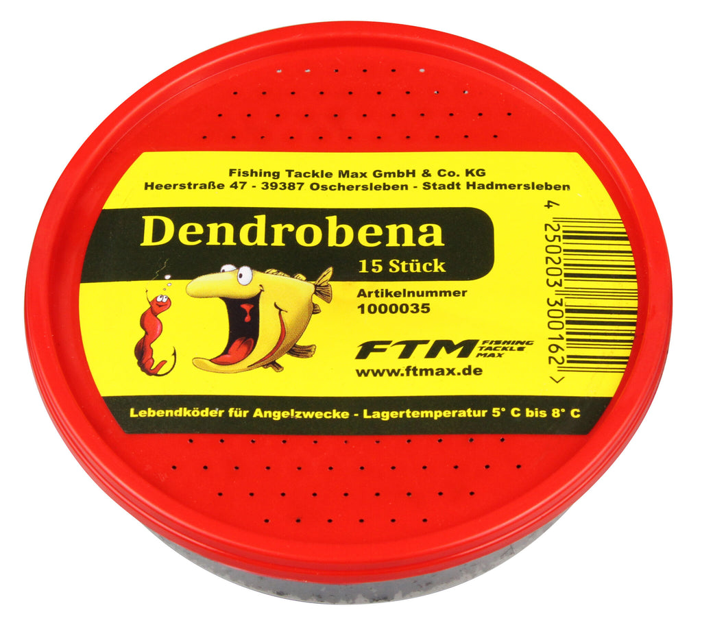 Dendrobena von Fishing Tackel Max 15 Stück