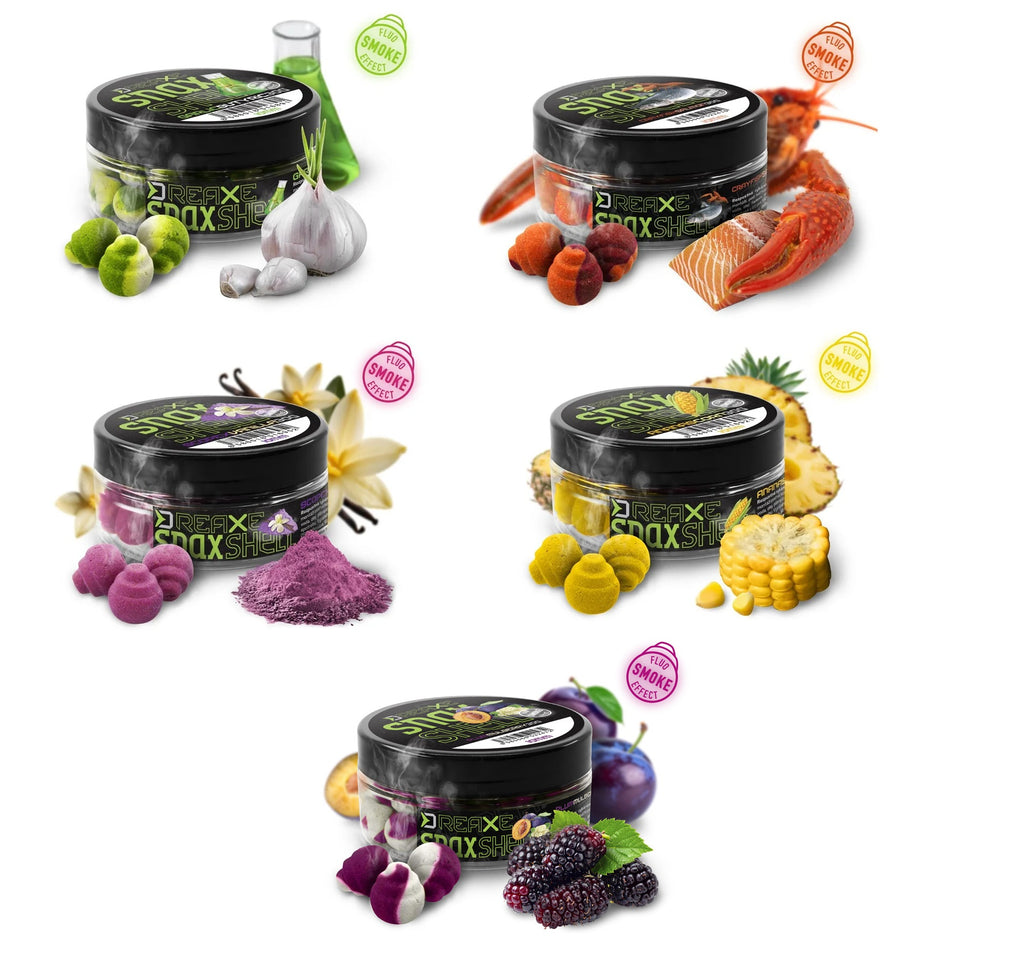 Dephin SNAX SHELL Köder Wafter 10mm verschiedene Sorten